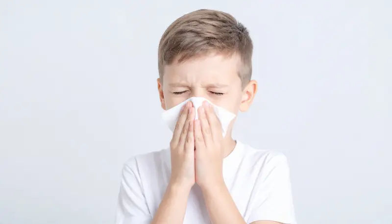 Sinus Infection Causes From Colds to Chronic Issues